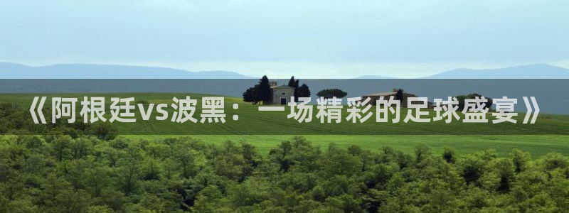 世界杯预选赛直播：《阿根廷vs波黑：一场精彩的足球盛宴》