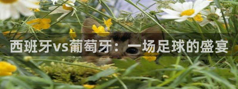 世界杯预选赛直播：西班牙vs葡萄牙：一场足球的盛宴
