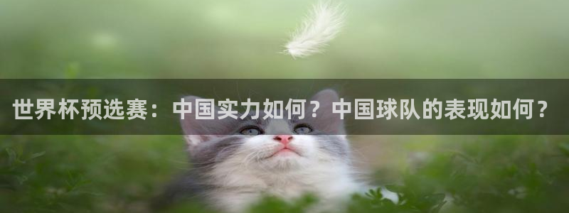 女足世界杯直播在线观看免费高清：世界杯预选赛：中国实力如何？中国球队的表现如何？