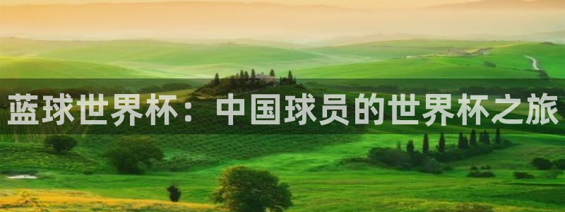 中国 世界杯：蓝球世界杯：中国球员的世界杯之旅