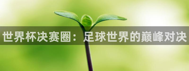 2026世界杯亚洲预选赛：世界杯决赛圈：足球世界的巅峰对决