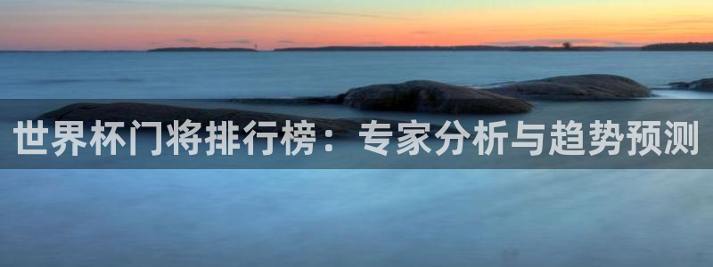 世界杯48支球队赛制：世界杯门将排行榜：专家分析与趋势预测