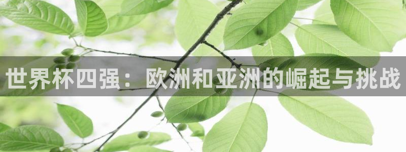 世界杯16强赛程表：世界杯四强：欧洲和亚洲的崛起与挑战