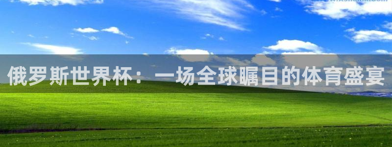 2026世界杯赛程时间表最新：俄罗斯世界杯：一场全球瞩目的体育盛宴
