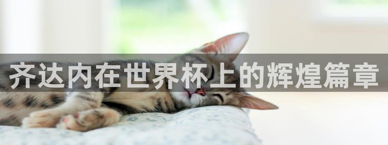 足球世界杯2026年赛程时间表：齐达内在世界杯上的辉煌篇章
