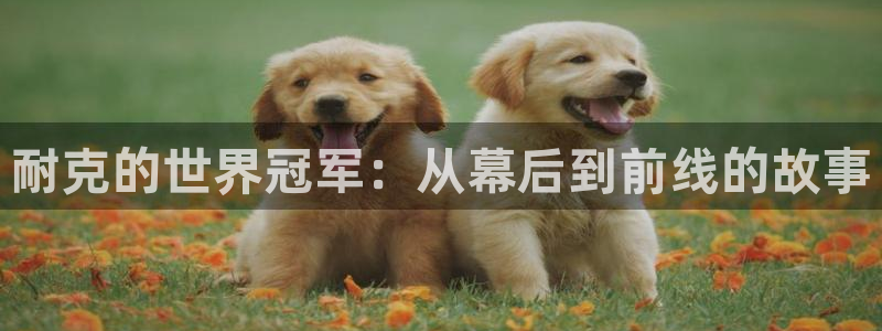 世界杯对阵表：耐克的世界冠军：从幕后到前线的故事
