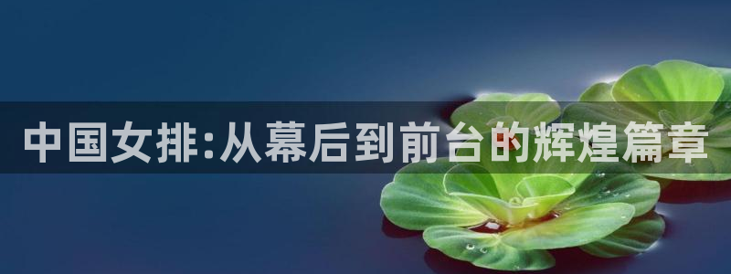 中国 世界杯：中国女排:从幕后到前台的辉煌篇章