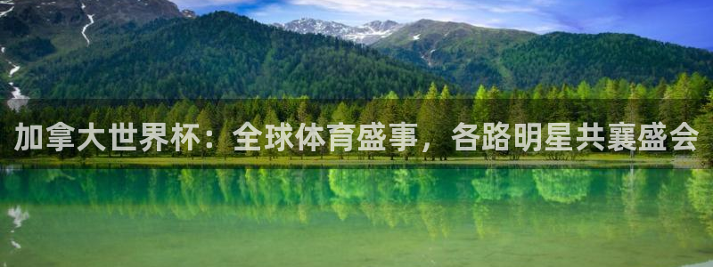 26世界杯:加拿大世界杯:全球体育盛事,各路明星共襄盛会