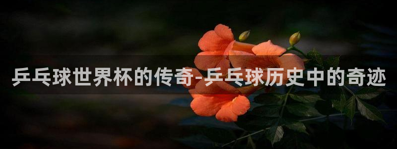 世界杯球赛:乒乓球世界杯的传奇-乒乓球历史中的奇迹