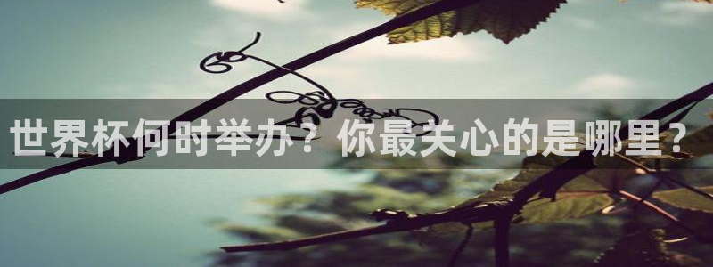 2026世界杯赛程时间表最新:世界杯何时举办?你最关心的是哪里?