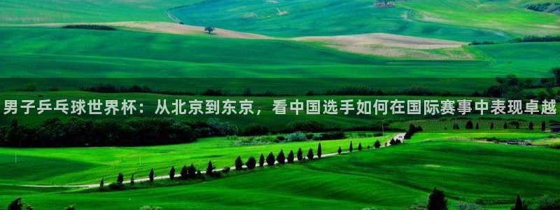 世界杯欧洲预选赛赛程:男子乒乓球世界杯:从北京到东京,看中国选手如何在国际赛事中表现卓越