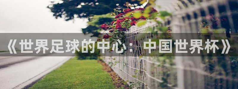 世界杯亚洲预选赛18强赛程:《世界足球的中心:中国世界杯》